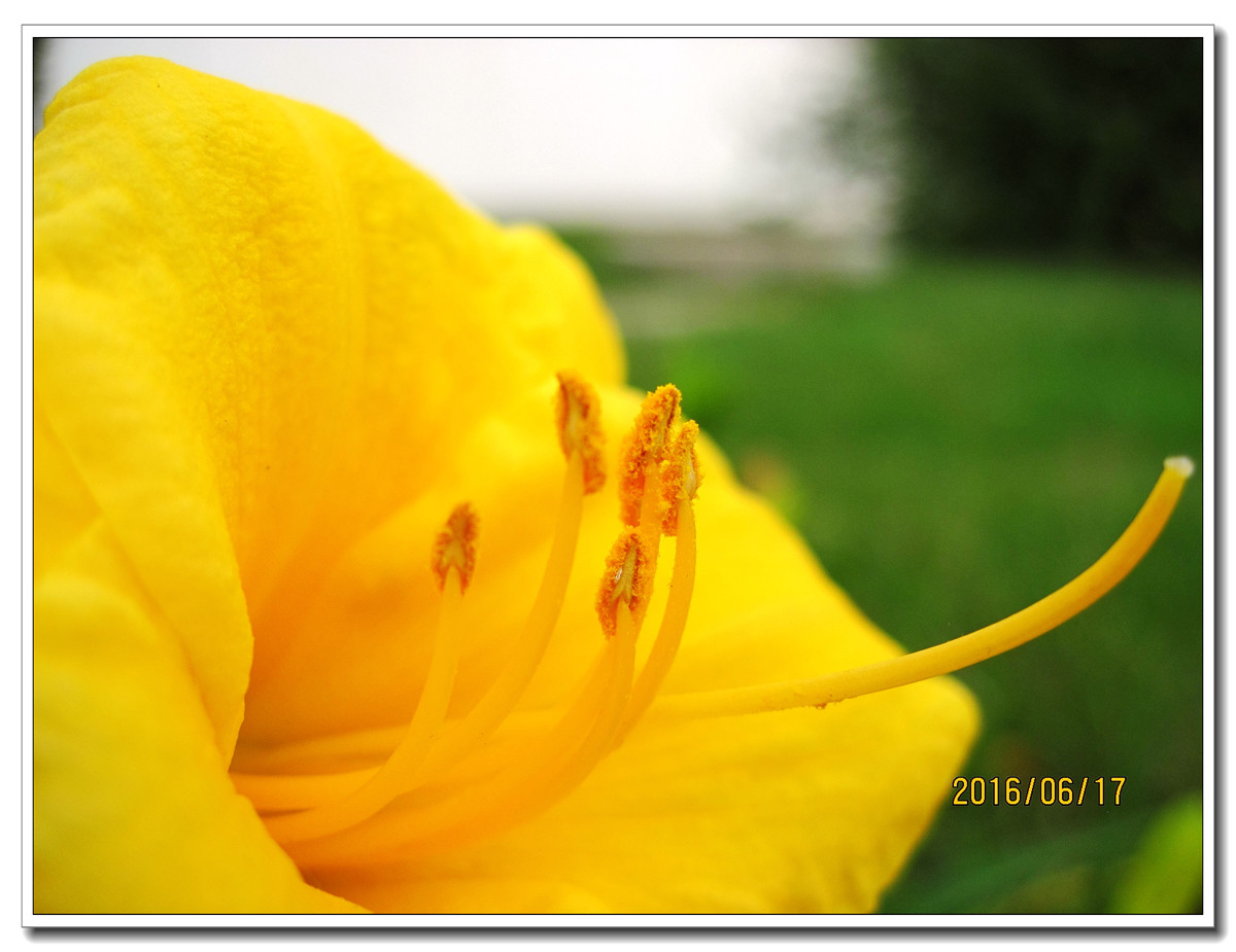 【行行摄摄】晨拍