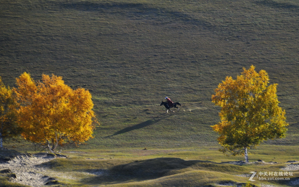 美丽的乌兰布统之一