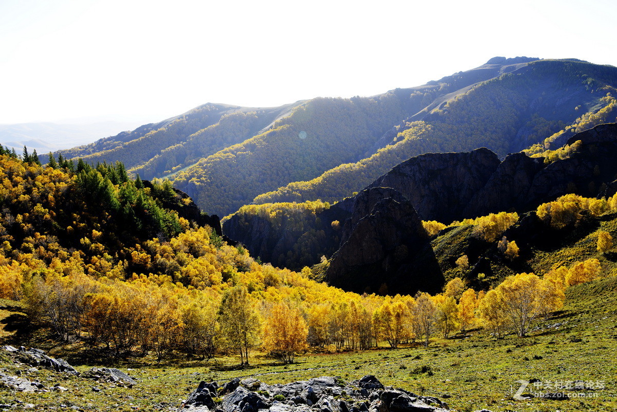 美丽的乌兰布统之二