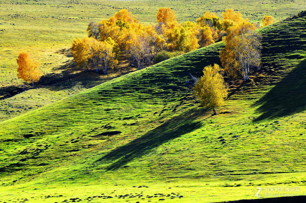美丽的乌兰布统之三