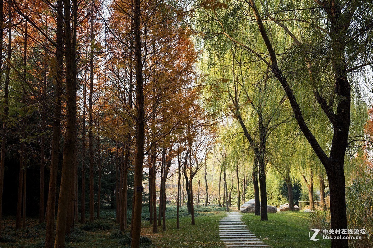 #版主坐堂# 腾龙153星空(中国)2017年十一月精品荟萃