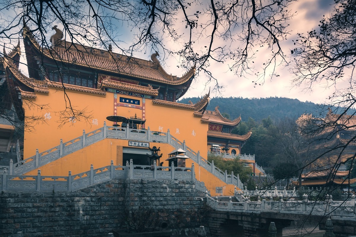 我的尼康小狗头拍了些照片