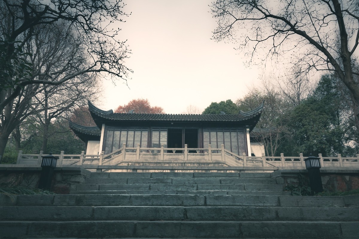 我的尼康小狗头拍了些照片