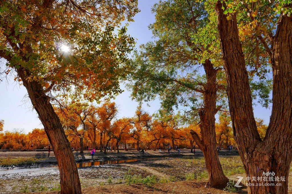 一组ZS110拍摄的片子