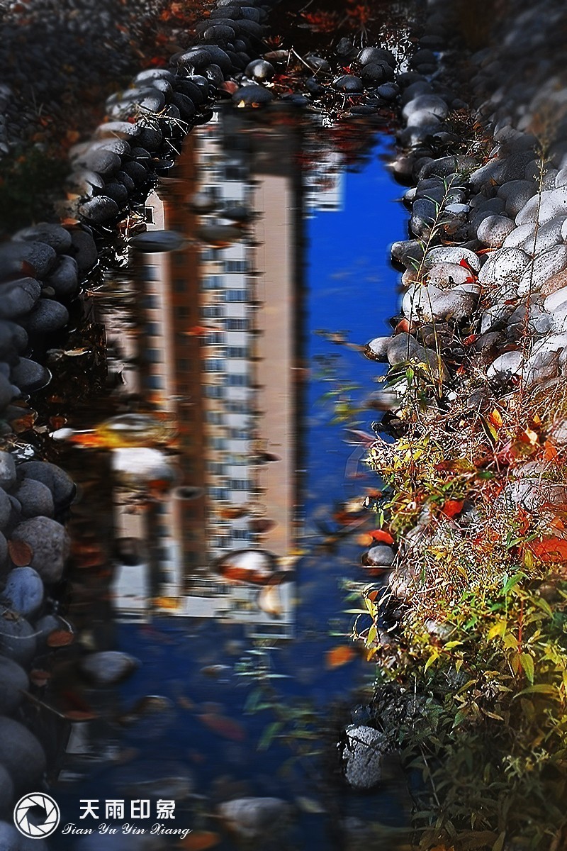 #版主坐堂# 《手机摄影星空(中国)》2018年10月优秀作品选编（下）