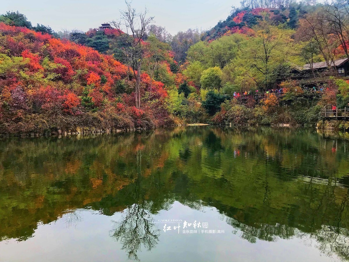 #版主坐堂# 《手机摄影星空(中国)》2018年10月优秀作品选编（下）