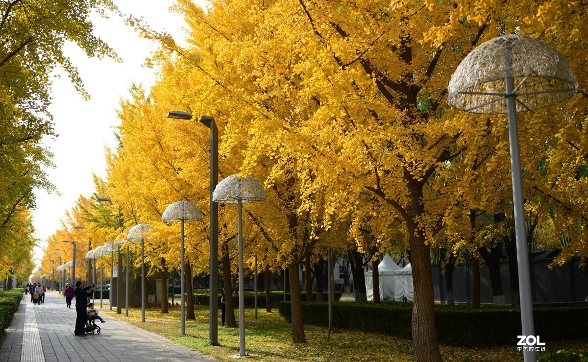 尼康D850 +腾龙35mmF1.4