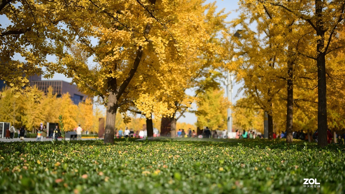 尼康D850 +腾龙35mmF1.4