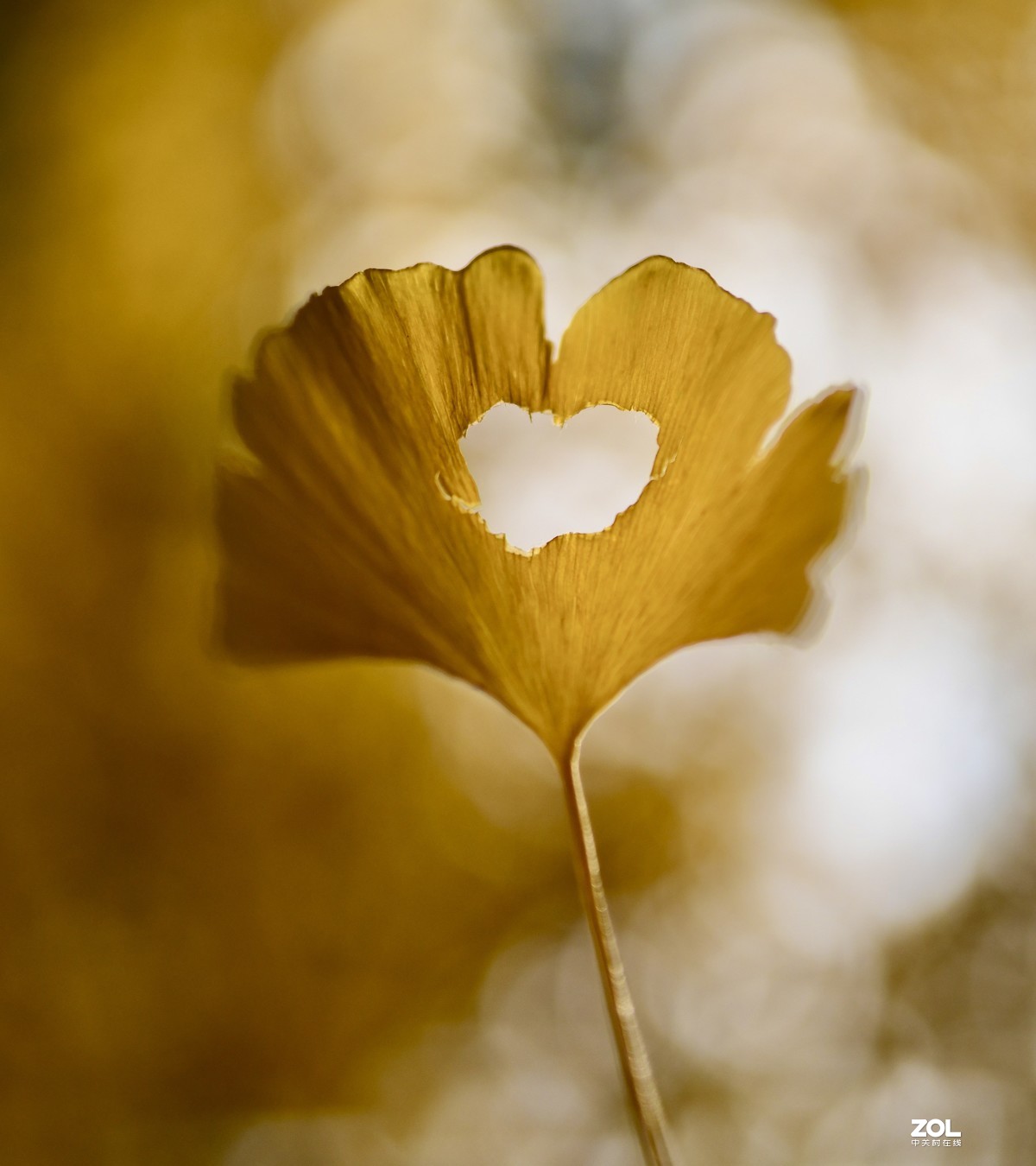 尼康D850 +腾龙35mmF1.4