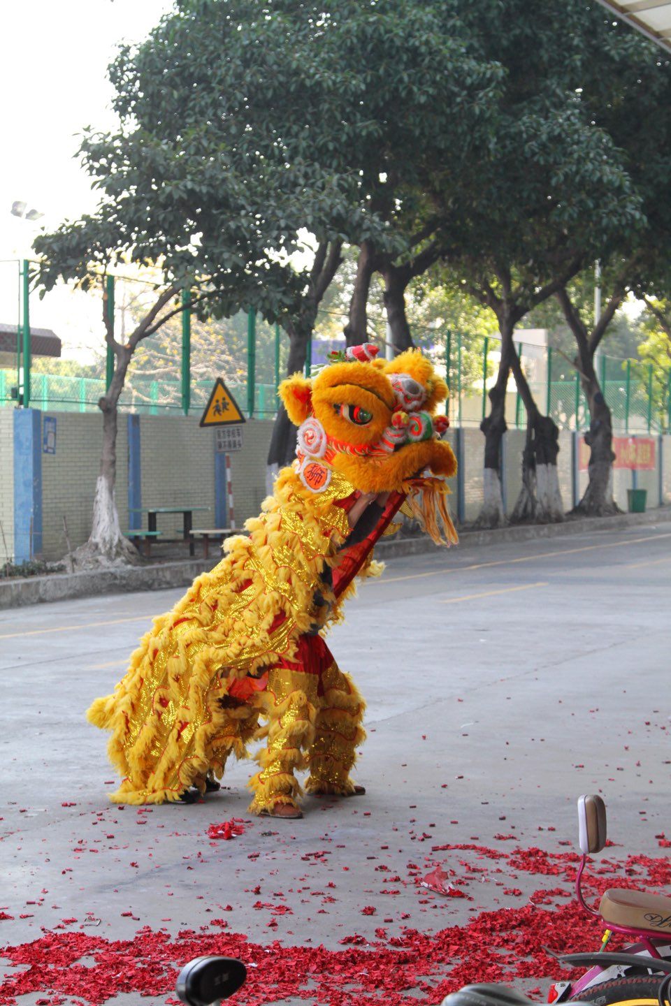 大年初一醒狮迎新春