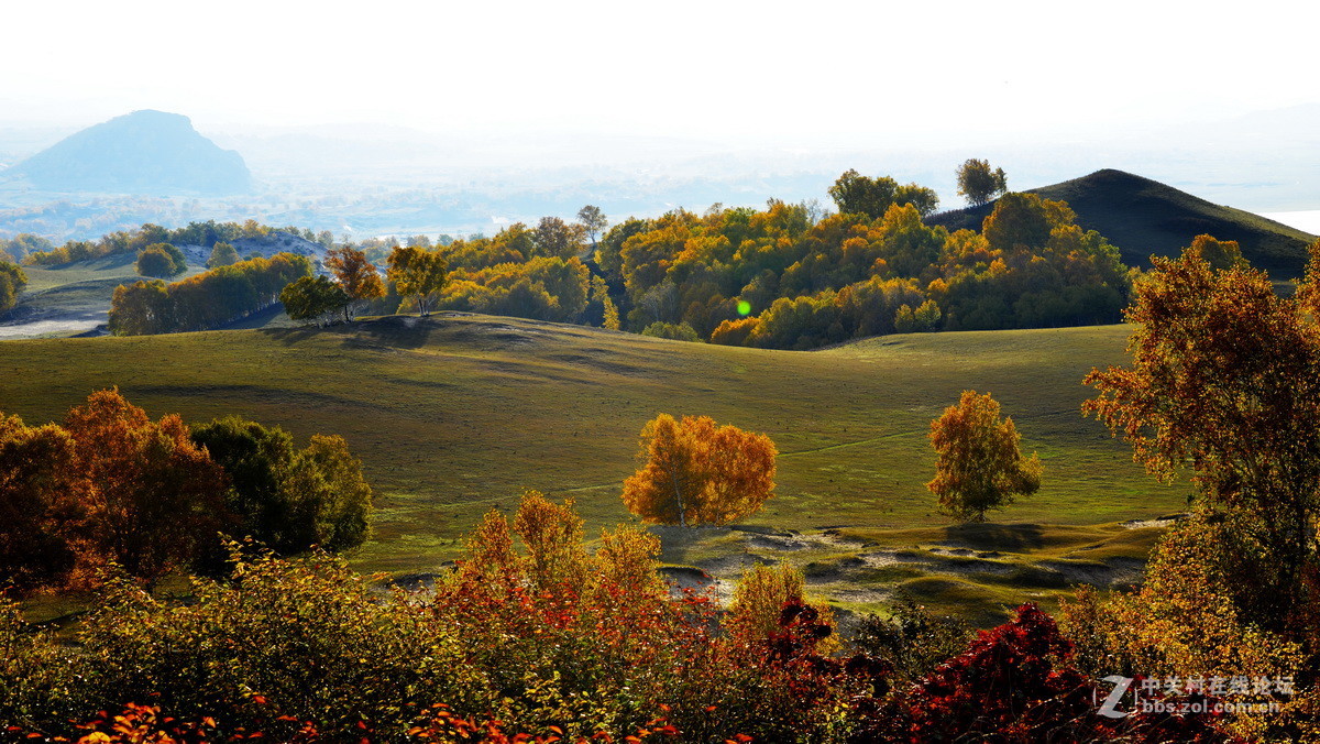 美丽的乌兰布统之四