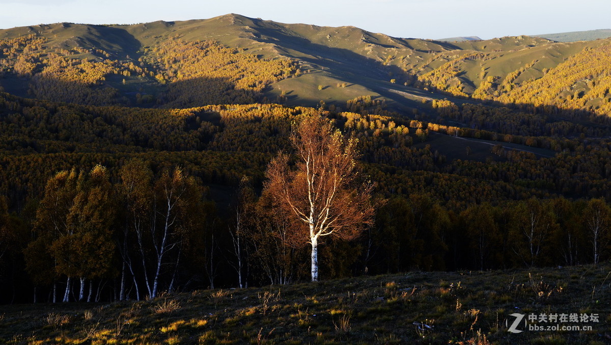 美丽的乌兰布统之四
