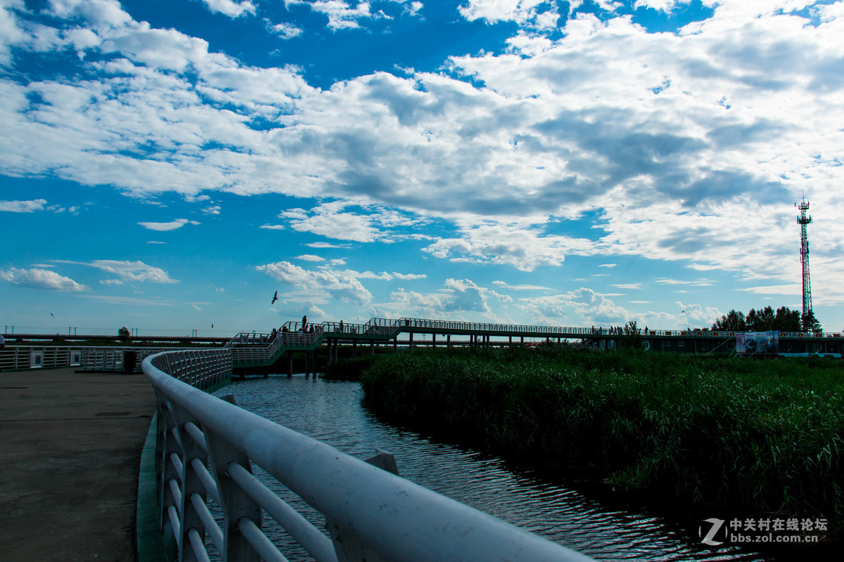 大庆——龙凤湿地公园