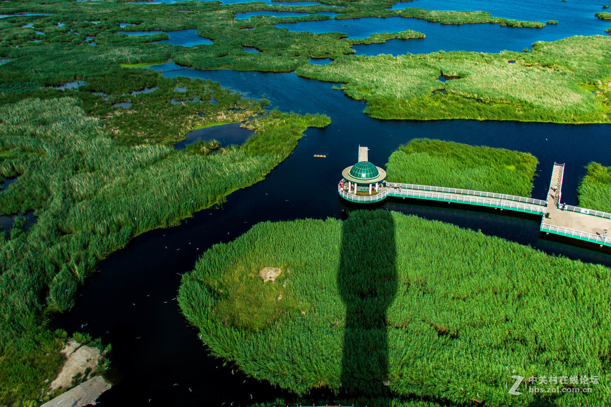 大庆——龙凤湿地公园