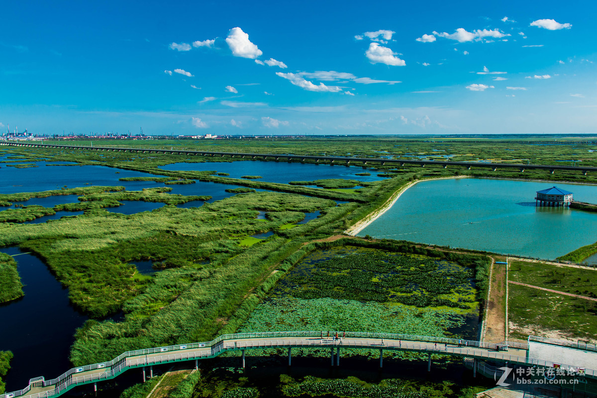 大庆——龙凤湿地公园