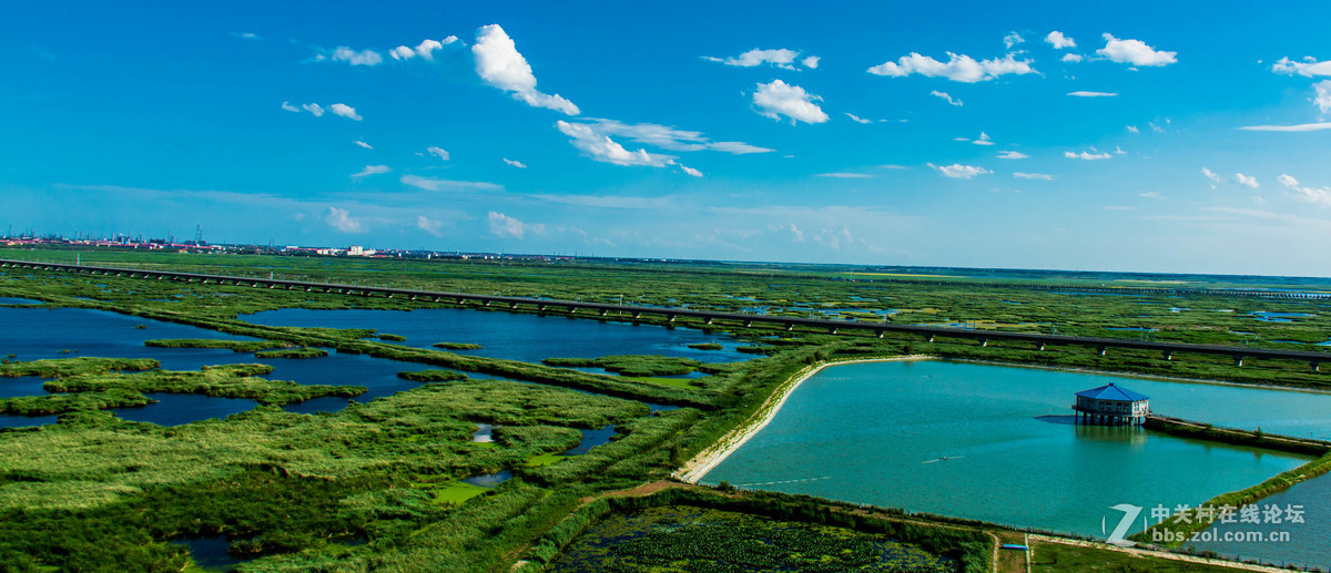 大庆——龙凤湿地公园