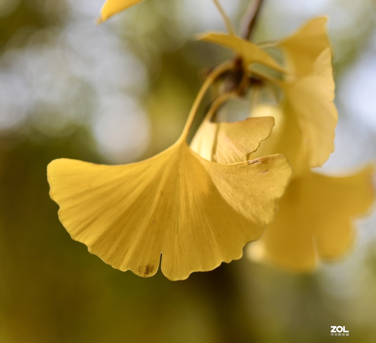 尼康D850 +腾龙35mmF1.4