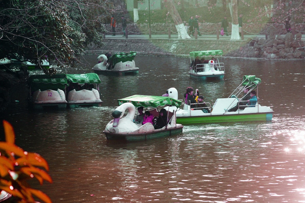 猴年新春，公园里的游船。。。。。。。。。