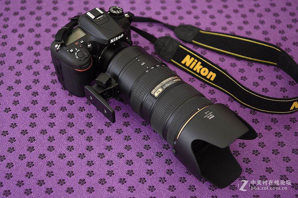 我的新镜头及新镜头拍的片子