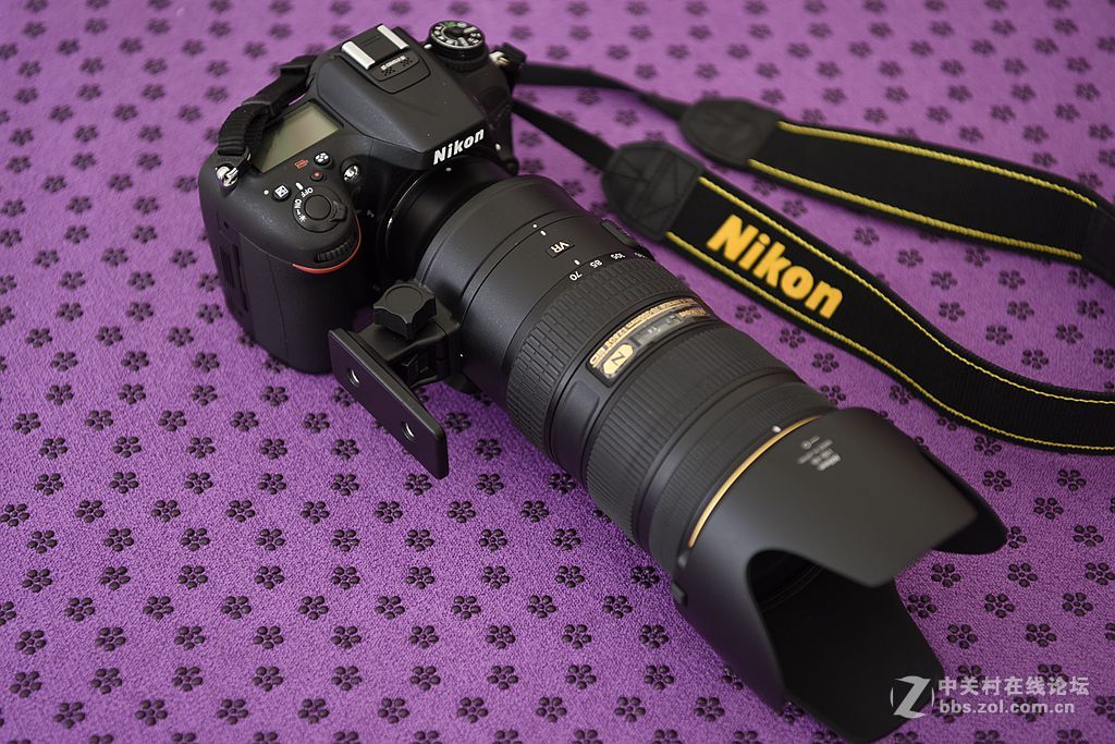 我的新镜头及新镜头拍的片子