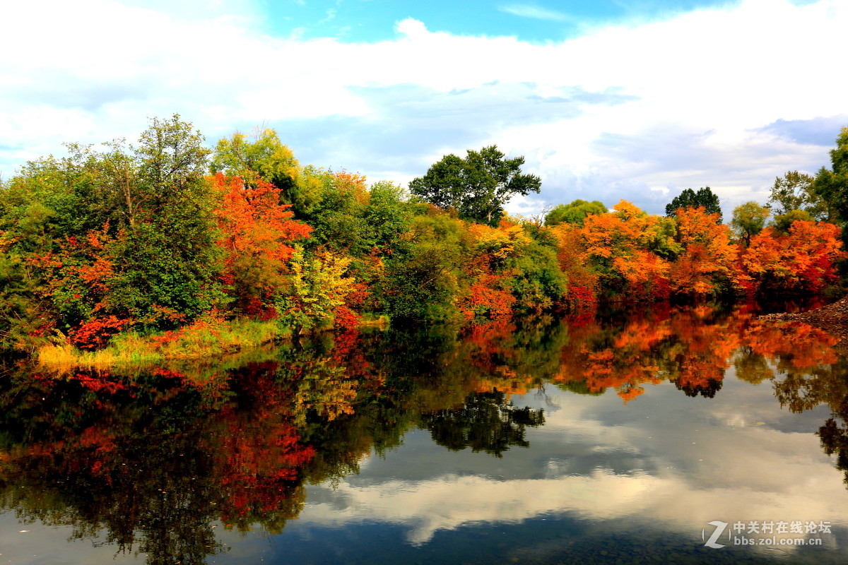《爱上旅行》之五 却道天凉好个秋