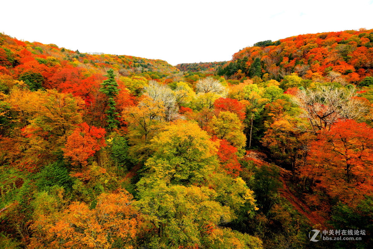 《爱上旅行》之五 却道天凉好个秋