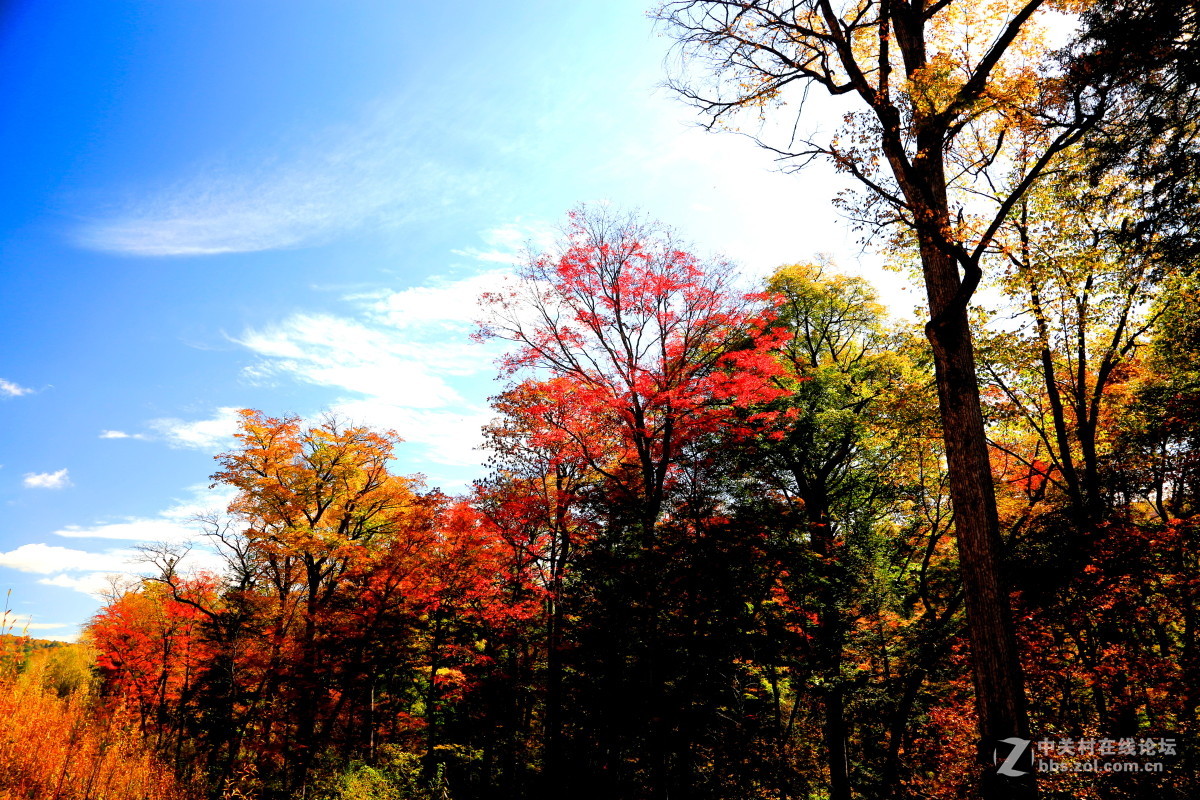 《爱上旅行》之五 却道天凉好个秋