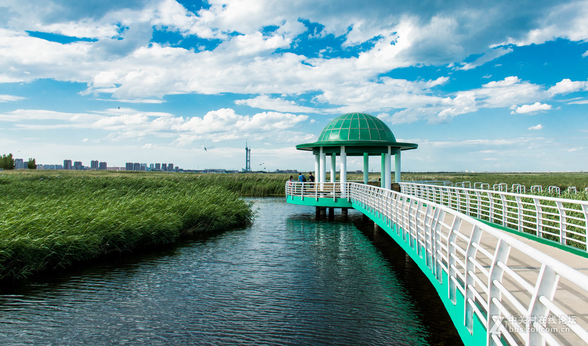 大庆——龙凤湿地公园