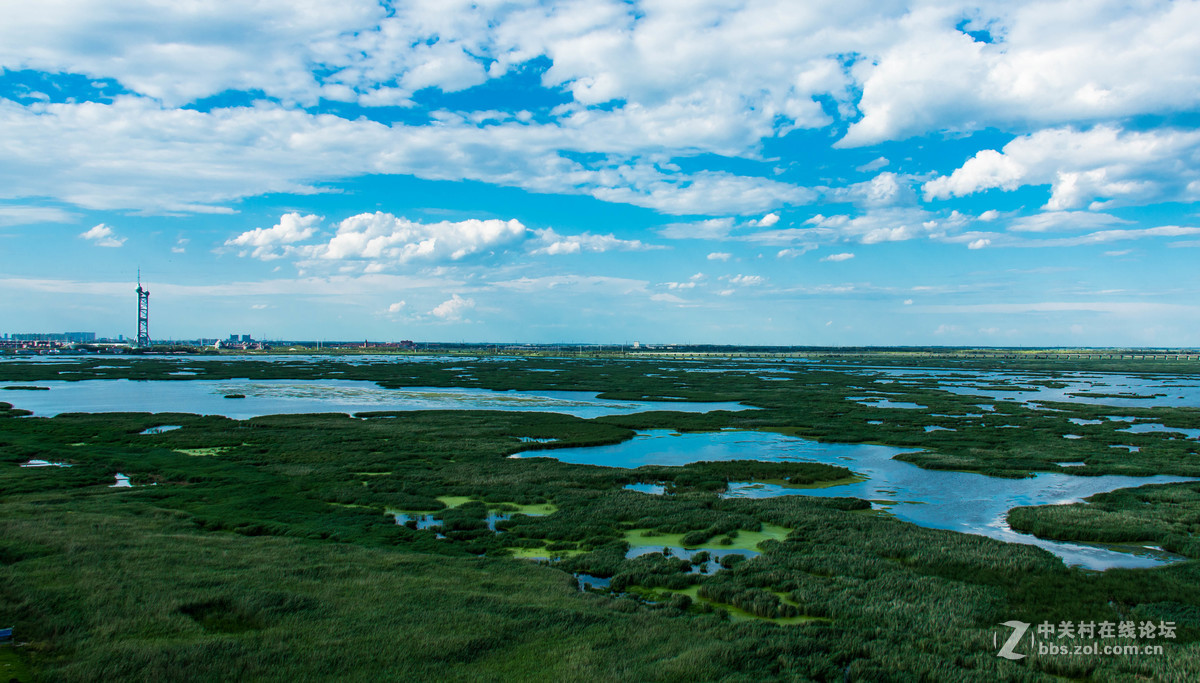 大庆——龙凤湿地公园