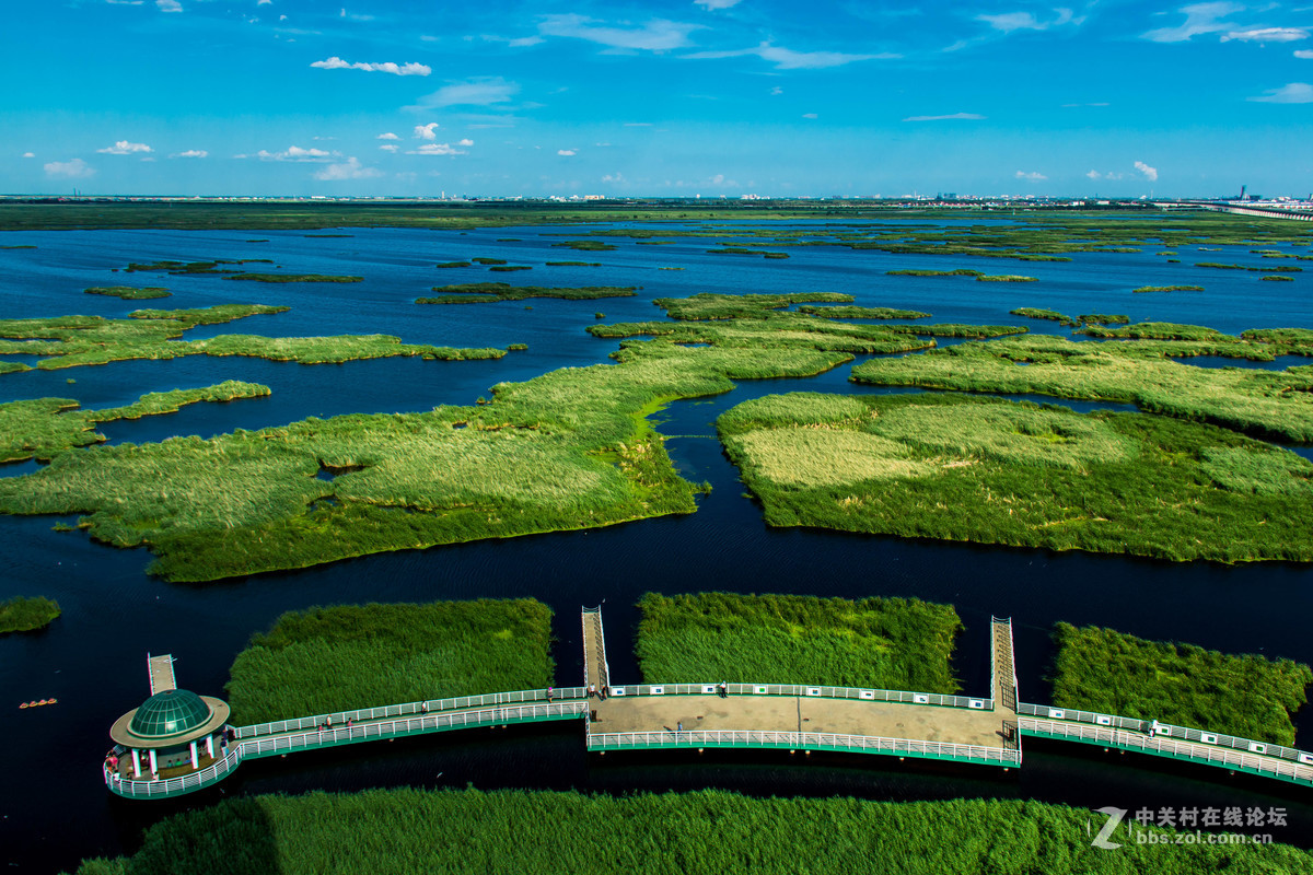 大庆——龙凤湿地公园