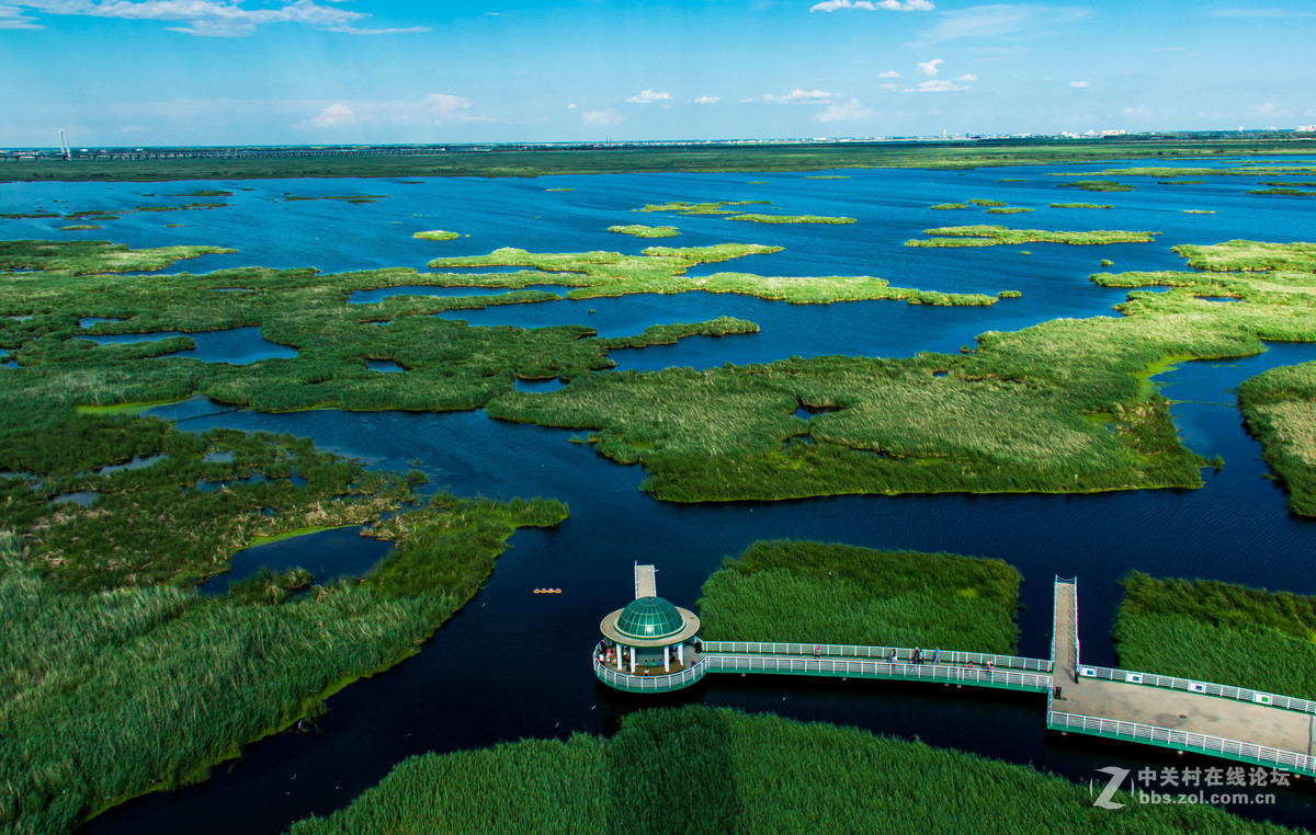 大庆——龙凤湿地公园