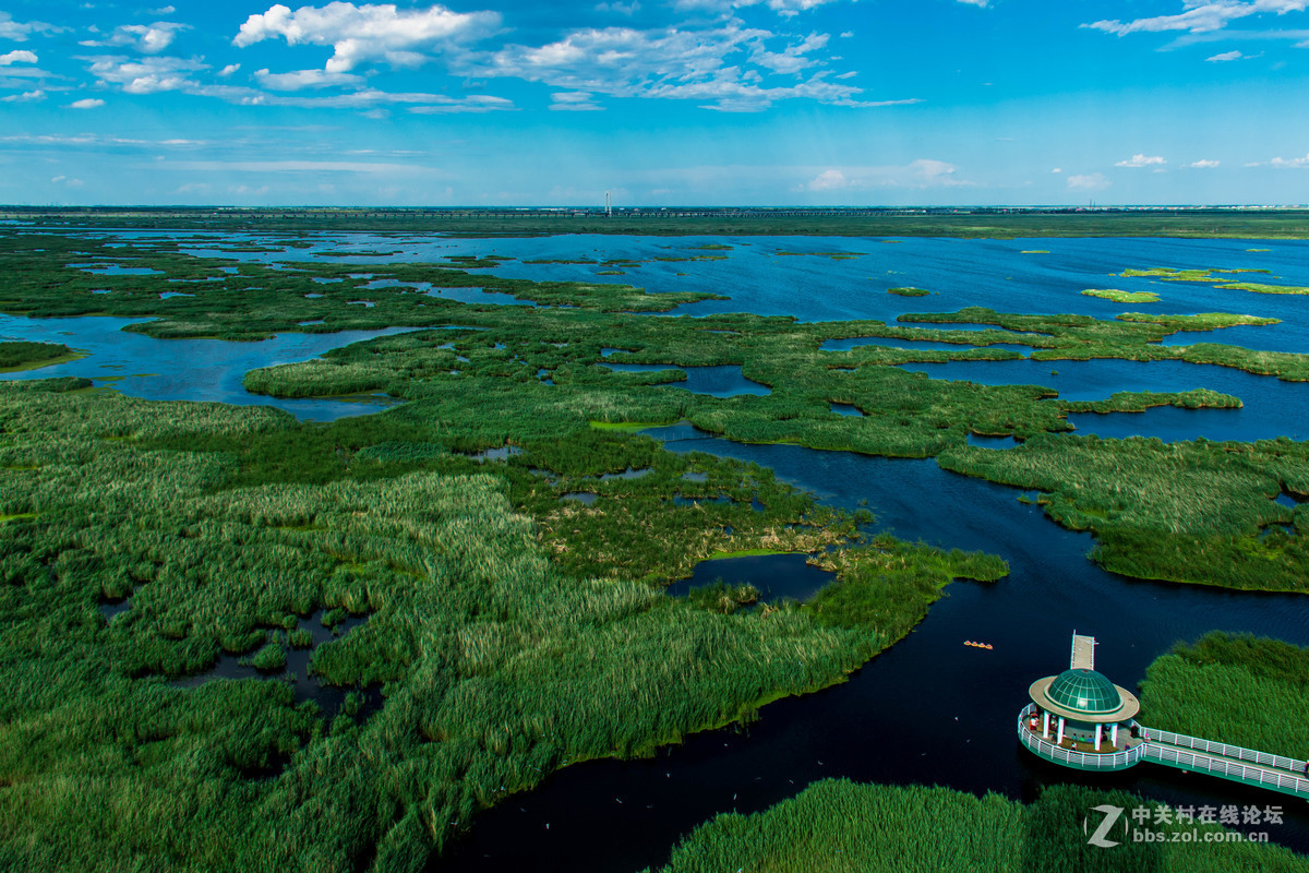 大庆——龙凤湿地公园
