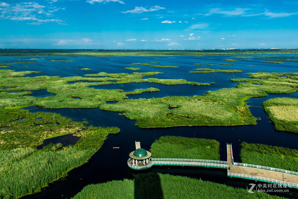 大庆——龙凤湿地公园