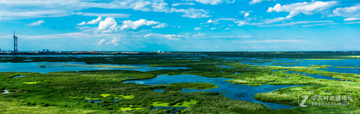 大庆——龙凤湿地公园