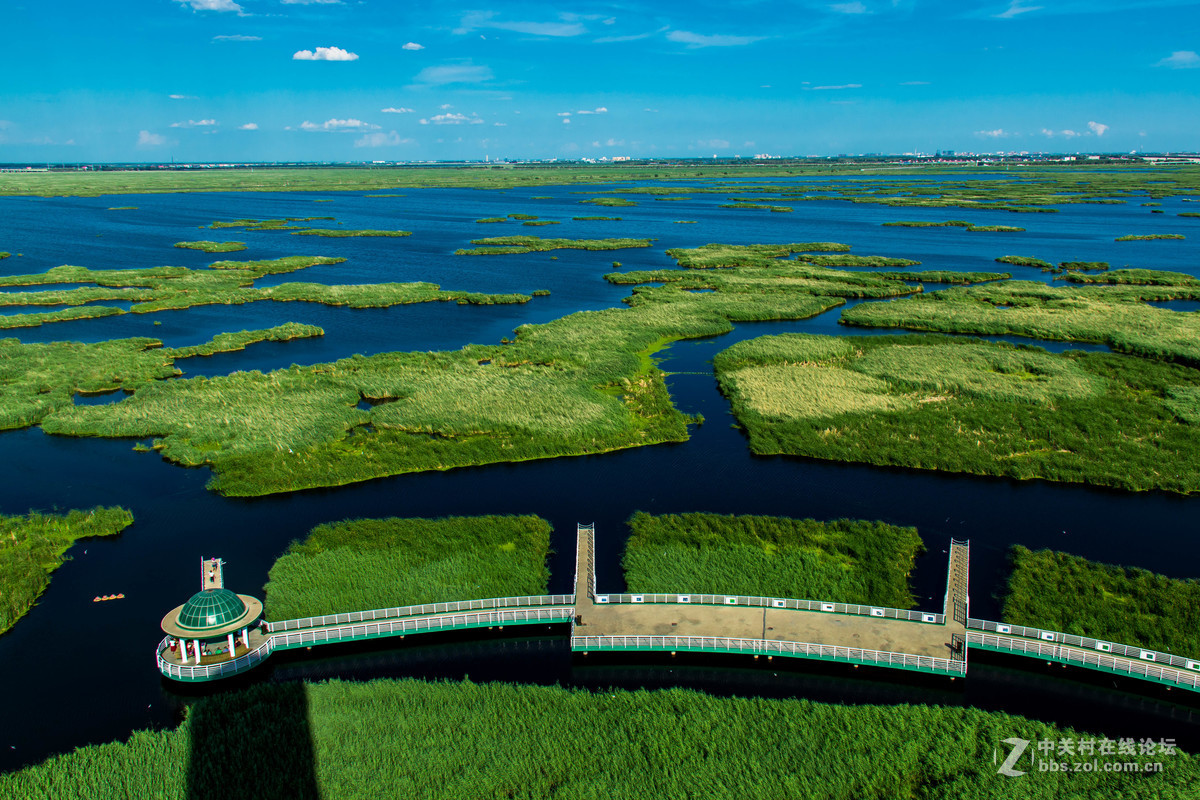 大庆——龙凤湿地公园