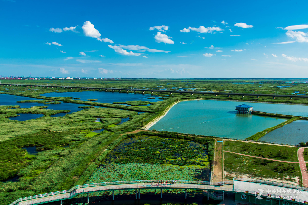 大庆——龙凤湿地公园
