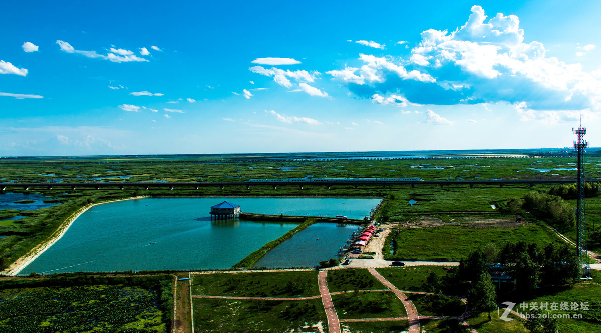 大庆——龙凤湿地公园