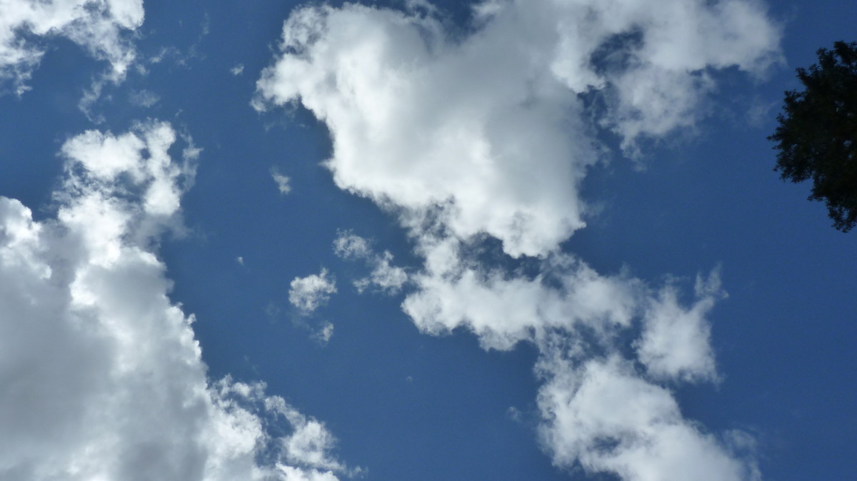 换相机前的FZ35，持续更新中