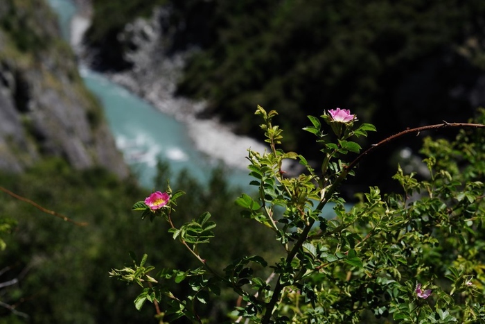 三支公主镜头齐上阵 宾得全画幅再曝样张 (蜂鸟网转载）