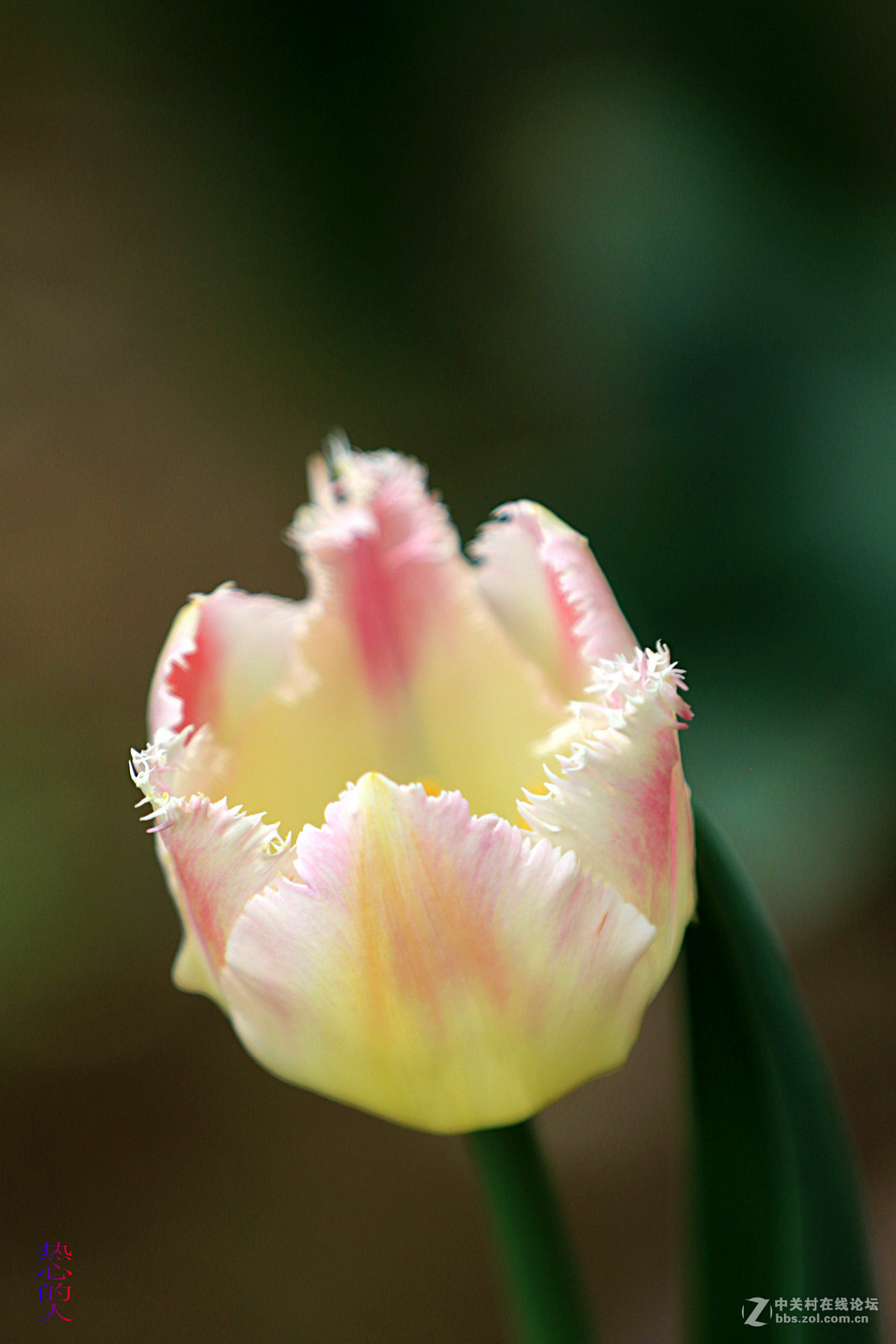 佳能7D Mark II(单机) 西安植物园