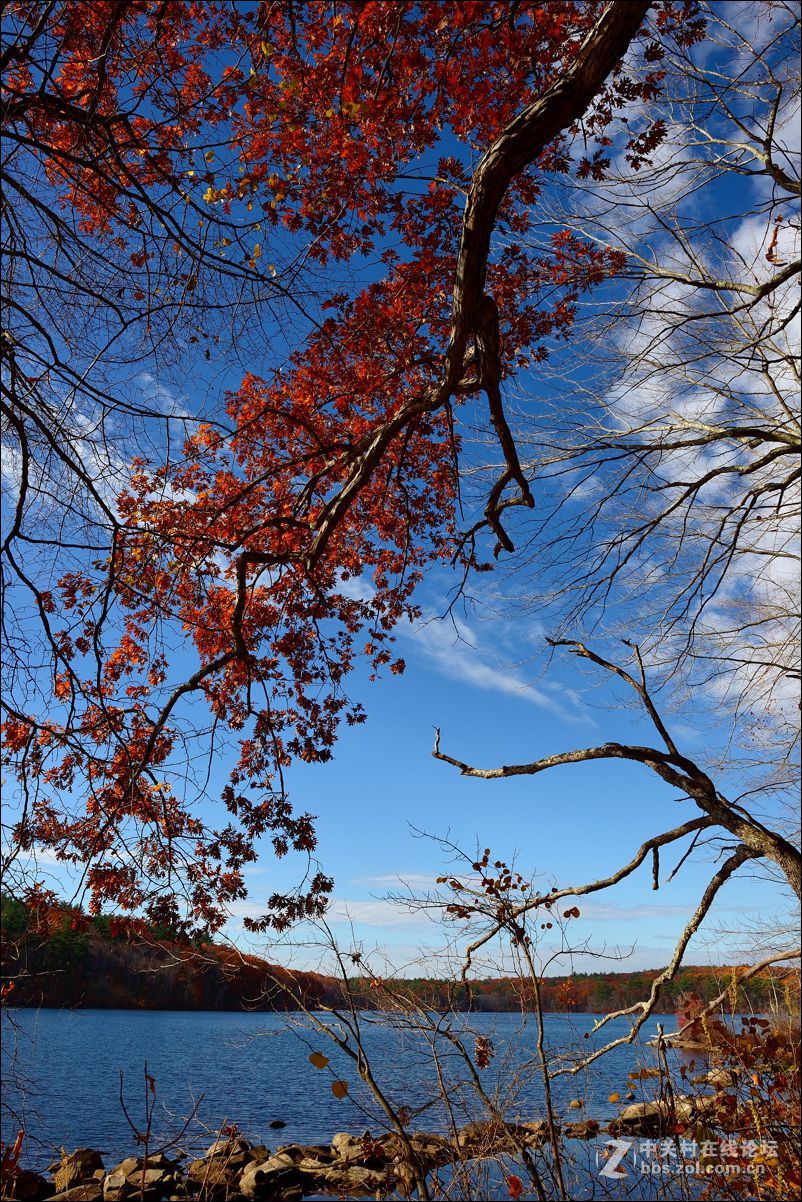 休闲随拍（309）