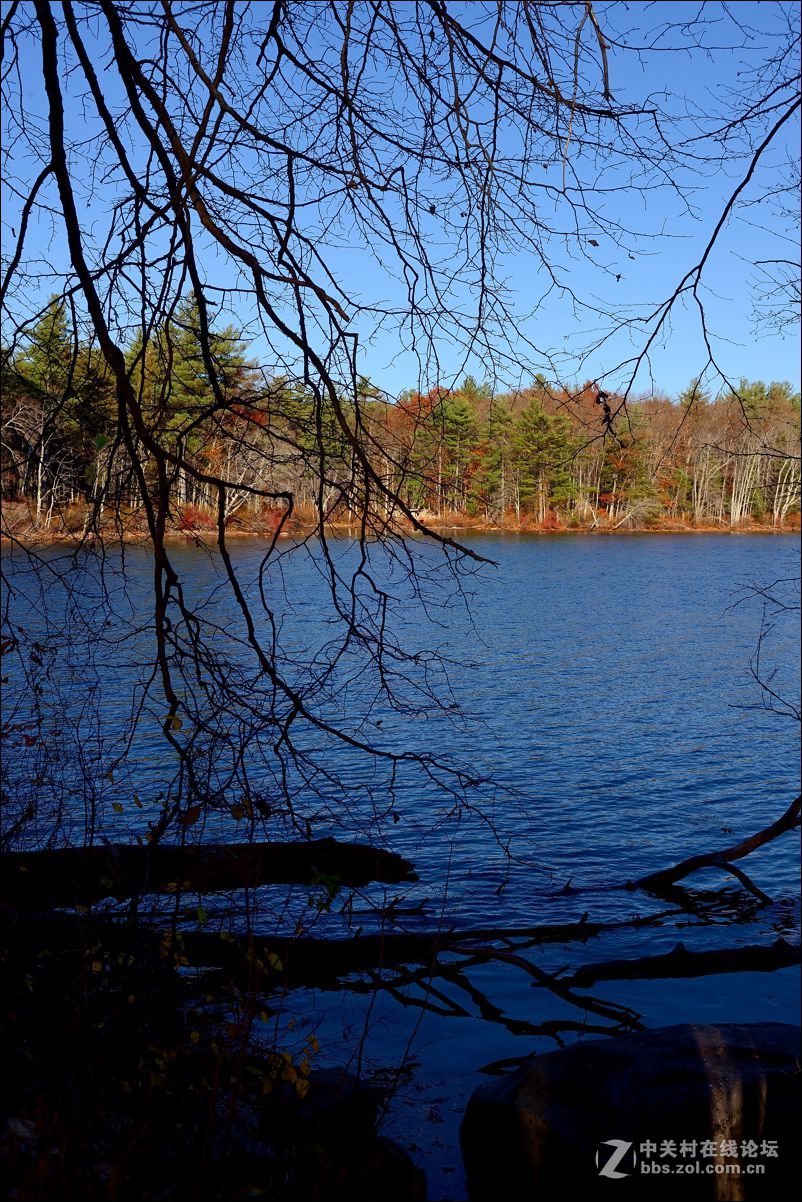 休闲随拍（309）