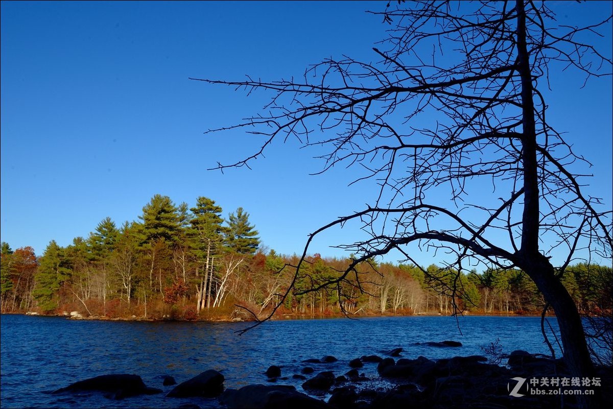 休闲随拍（309）