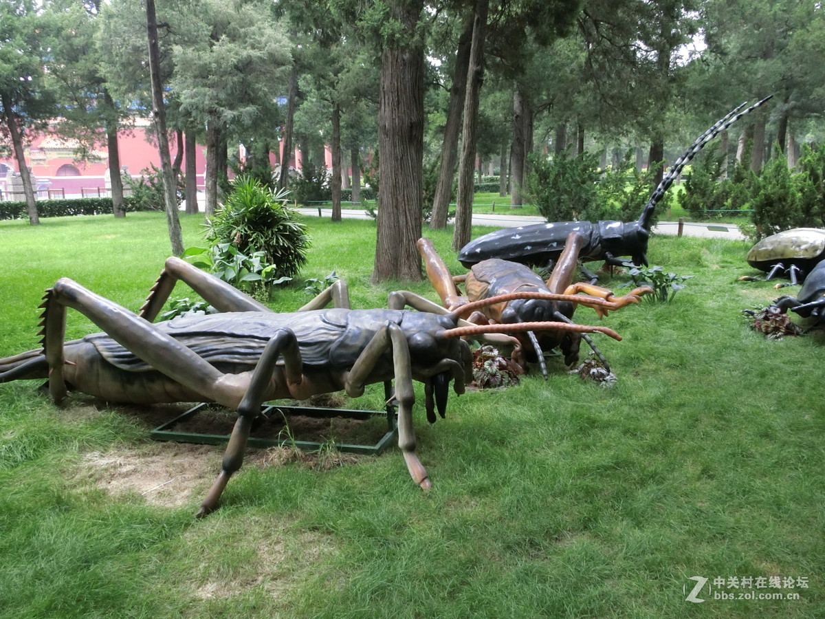 景山昆虫科普展随拍