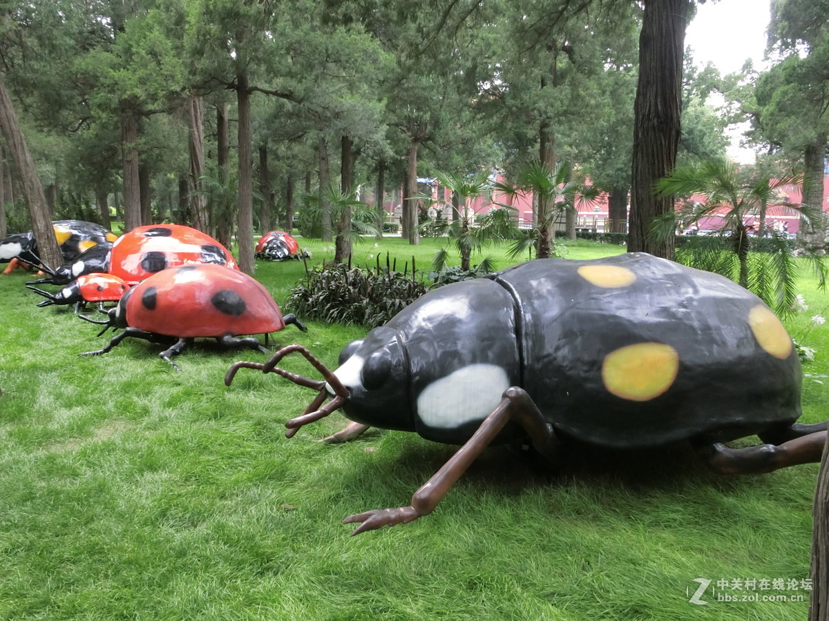 景山昆虫科普展随拍