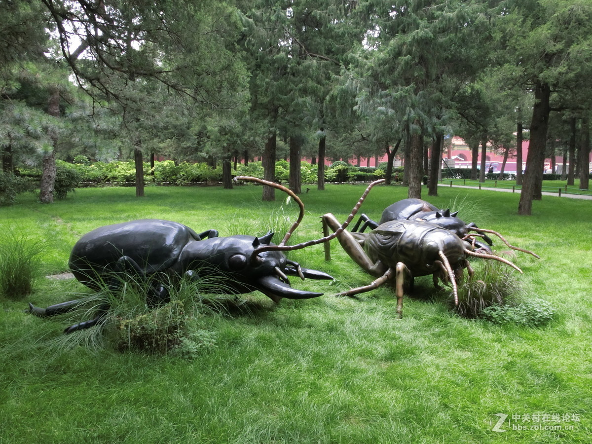 景山昆虫科普展随拍