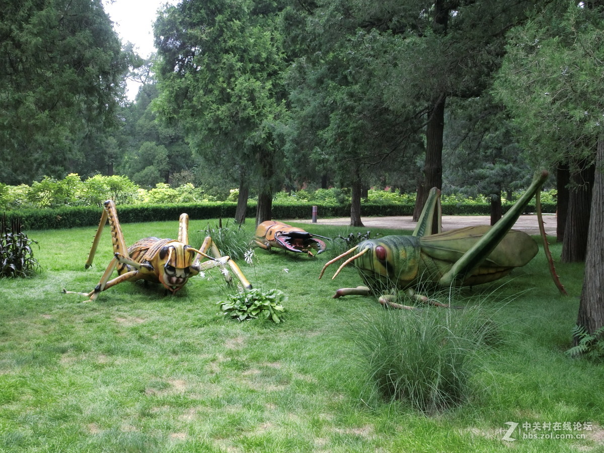 景山昆虫科普展随拍
