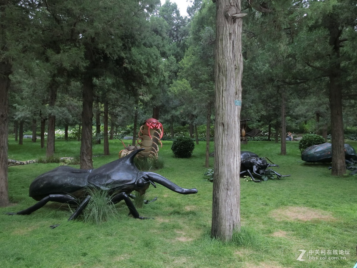 景山昆虫科普展随拍