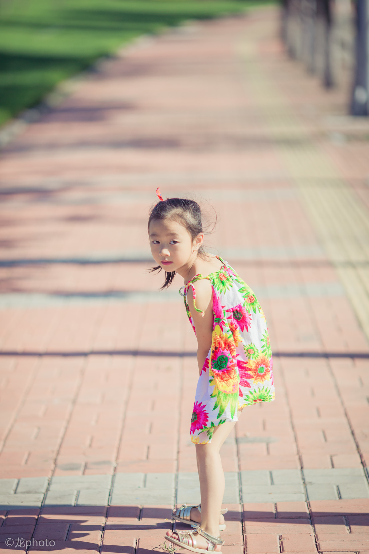 龙photo  《135L 练习贴 》