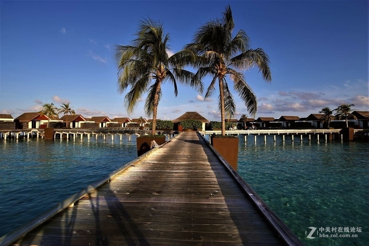 马尔代夫尼亚玛岛预订及价格查询,Niyama Private Islands Maldives_八大洲旅游
